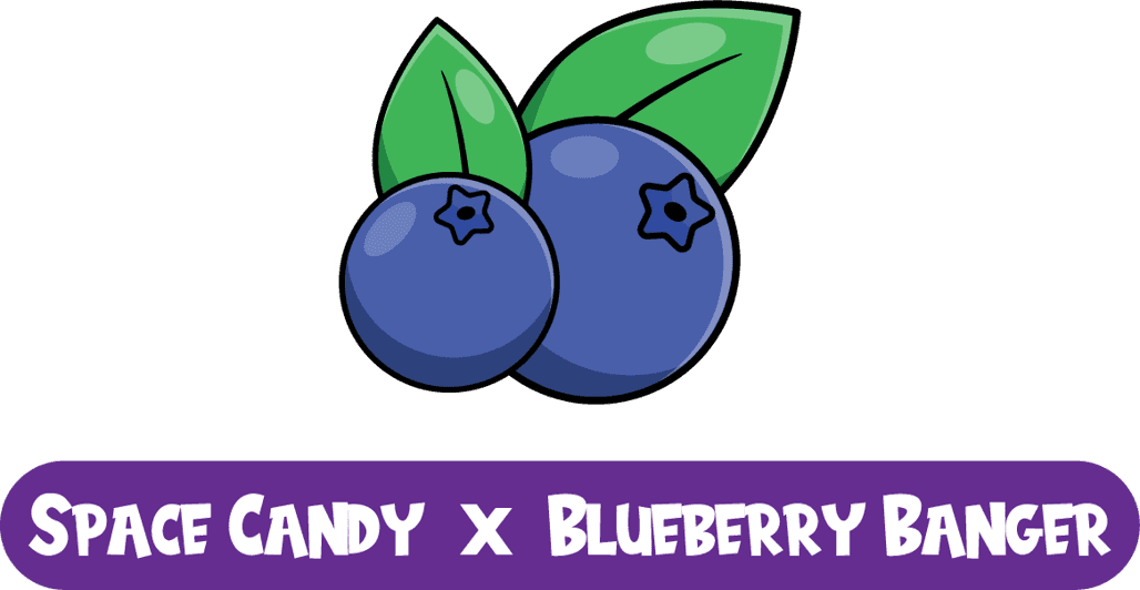 Space Candy x Blueberry Banger